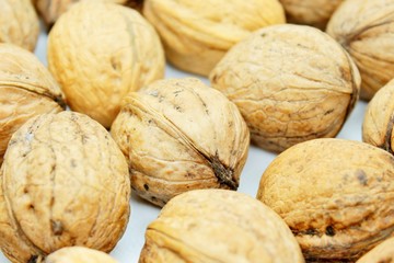 Beautiful ripe walnuts, located on a white background