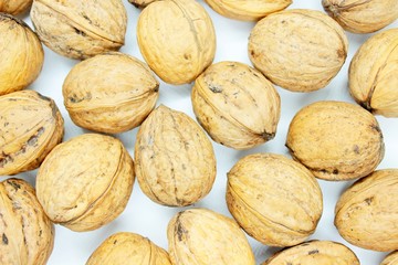 Beautiful ripe walnuts, located on a white background
