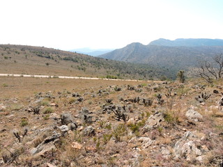 landscape in Limpopo