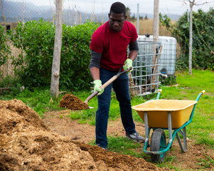 African man digging manure to fertilize soil
