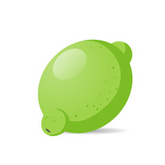 fresh juicy lime icon tasty ripe fruit isolated on white background healthy food concept vector illustration
