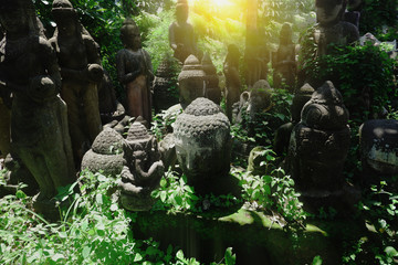 Buddha Statues hidden in leaves of tropical jungle, with mist in the morning ,selective focus