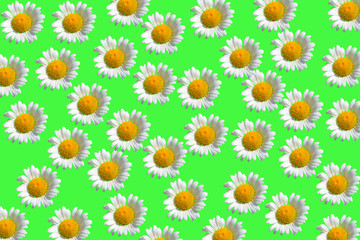 abstract floral background