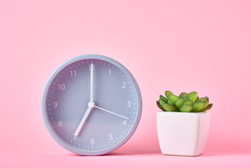Alarm clock and plant in pot on the pink background, closeup