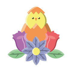 chick in easter egg with flowers on white background