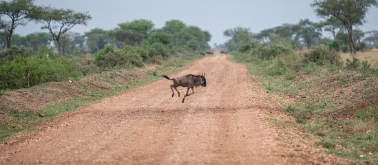 Fototapeta premium Przejście