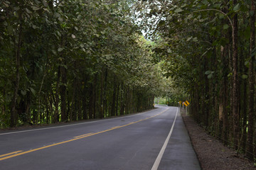 Road 