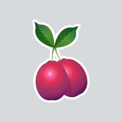 fresh juicy plum sticker tasty ripe fruit icon healthy food concept vector illustration