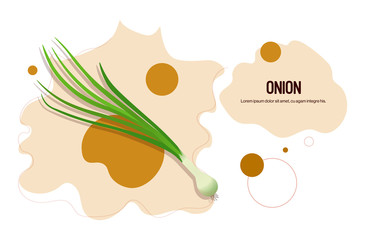 fresh green onion sticker tasty vegetable icon healthy food concept horizontal copy space vector illustration