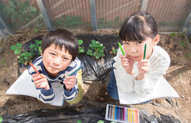 写生する小学生の子供