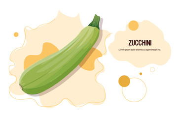fresh zucchini sticker tasty vegetable icon healthy food concept horizontal copy space vector illustration