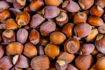 Pile of the hazelnuts for background. Healthy eating
