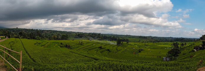 Beautiful rice field of Jatiluwih, Unesco heritage in Indonesia