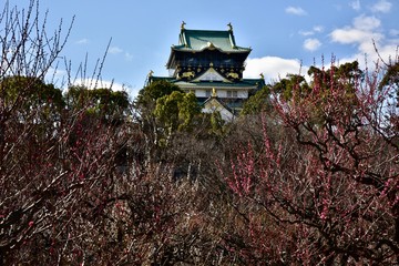 梅の花と大越坂城