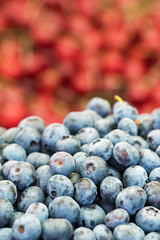 Organic natural blueberries close up on the farmers market