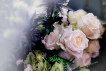 Closeup image of beautiful flowers wall background with amazing red and white roses Retro filter.