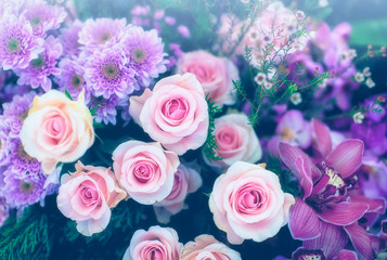 Closeup image of beautiful flowers wall background with amazing red and white roses Retro filter.