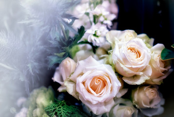 Closeup image of beautiful flowers wall background with amazing red and white roses Retro filter.