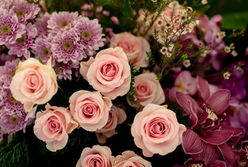 Closeup image of beautiful flowers wall background with amazing red and white roses Retro filter.