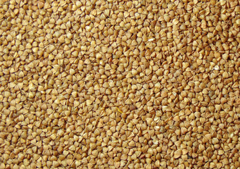 Buckwheat. background of buckwheat. Buckwheat porridge. Healthy and organic natural food. Macro photo food buckwheat. Grain background texture. Food supply.Food for athletes and vegetarians.