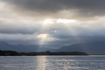 Fototapeta premium Quite