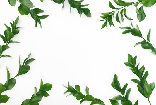 Natural frame of green leaves on white background