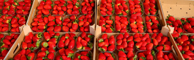 full boxes of red big strawberries for sale in the greengrocer s