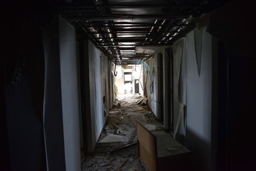 日本の美しく荒れた廃墟