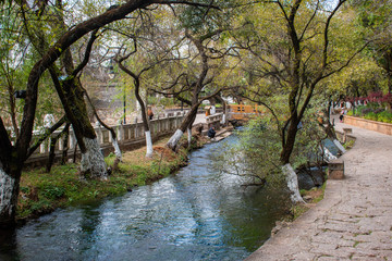 Fototapeta premium garden with river and tree along the way