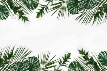 Fototapeta na wymiar Natural Green flat lay tropical palm leaves branches on white