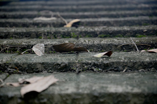 steps