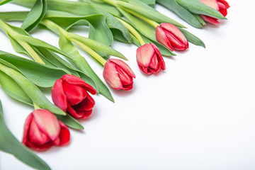 Obraz premium Flat lay of red tulips isolated on white for one corner side with copy space
