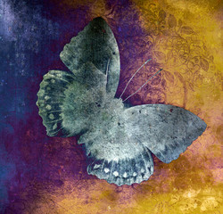 a grunge butterfly design wallpaper