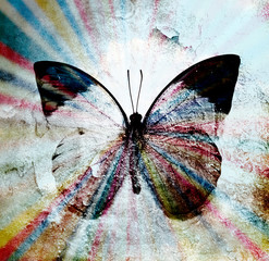 Fototapeta na wymiar rainbow butterfly abstract