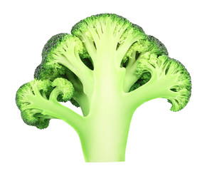 Broccoli cut in half isolated on white background with clipping path. Full depth of field.