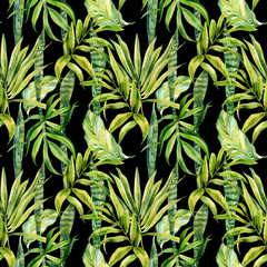 Obraz na płótnie Canvas Watercolor seamless pattern, palm leaves, sansevieria flower, houseplant, watercolor painting, botanical illustration, floral design. Fabric wallpaper print texture.