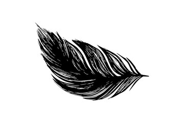 Vector illustration of hand drawn feather