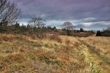Obraz premium Lande de la Flotte et du Cluzeau (Haute-Vienne)