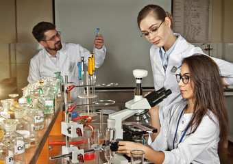 Team of scientists working in the laboratory. Assistants conduct chemical experiments. Girl near...
