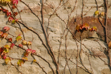 walking in the area aorund Hanover