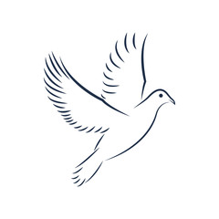 beautiful Line Dove Bird logo design peace vector