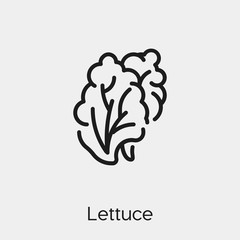 lettuce icon vector. Linear style sign for mobile concept and web design. lettuce symbol illustration. Pixel vector graphics - Vector. 
