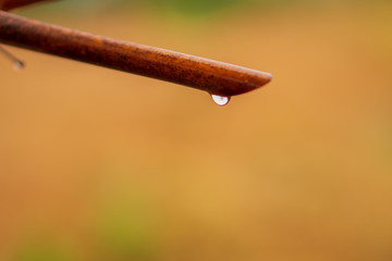 Water drop on brown wooden.