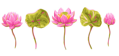 Set of lotus flowers. Water lily decorative illustration. - obrazy, fototapety, plakaty