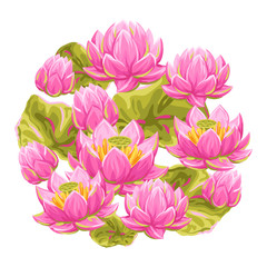 Fototapeta na wymiar Background with lotus flowers. Water lily decorative illustration.