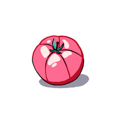 Bright illustration of tomato vegetable for design and graphics, healthy food. Hand-drawn image, clip art in doodle style isolated on white background.