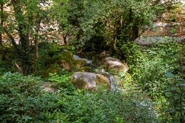 Cours d'eau dans la campagne