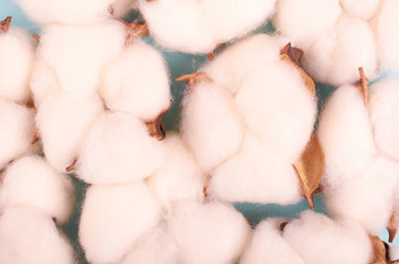 Cotton ball on blue background composition.