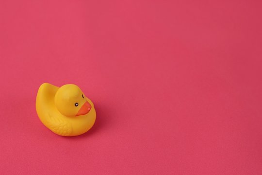 Baby spa bath concept. Cute child's rubber duck toy on bright pink background. Copy space for text.