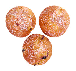 Homemade blueberry cupcake.